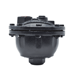 Desaireador en Hierro  3/4" NPT Gammon